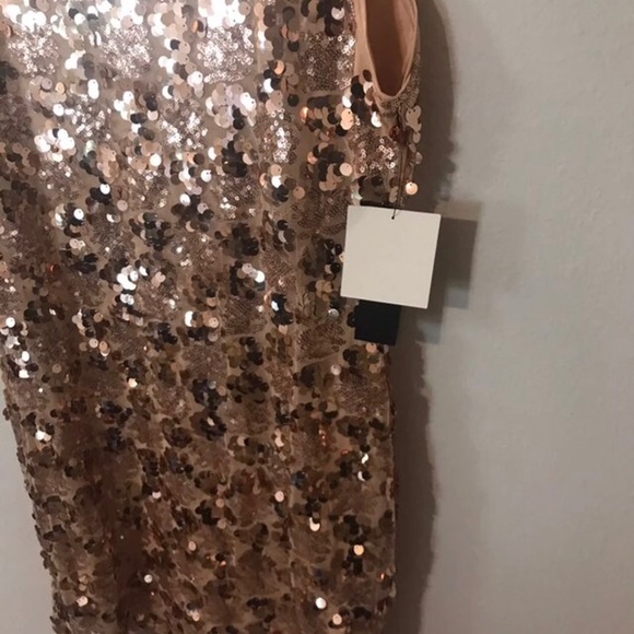 Beautiful rose gold dress( new) - Picture 3 of 4